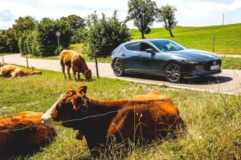 AUTOMOTIVE_016.jpg